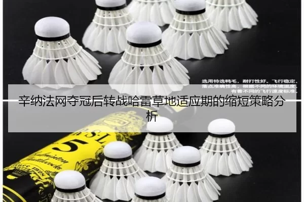 辛纳法网夺冠后转战哈雷草地适应期的缩短策略分析（kaiyun app）